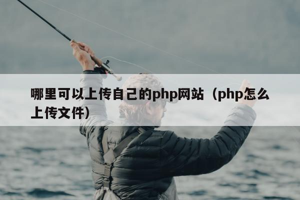 哪里可以上传自己的php网站（php怎么上传文件）