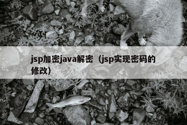 jsp加密java解密（jsp实现密码的修改）