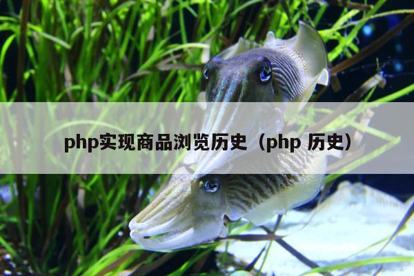 php实现商品浏览历史（php 历史）