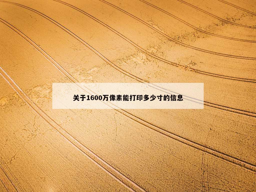 关于1600万像素能打印多少寸的信息