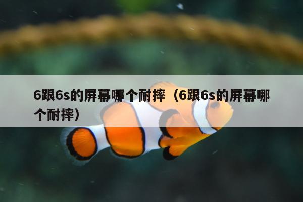 6跟6s的屏幕哪个耐摔（6跟6s的屏幕哪个耐摔）