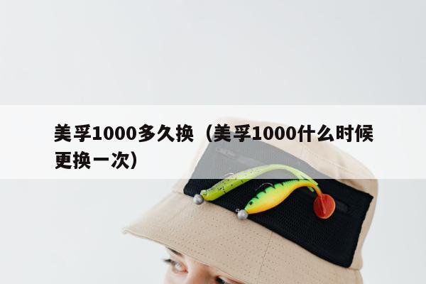 美孚1000多久换（美孚1000什么时候更换一次）