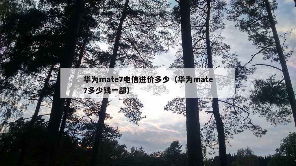 华为mate7电信进价多少（华为mate7多少钱一部）