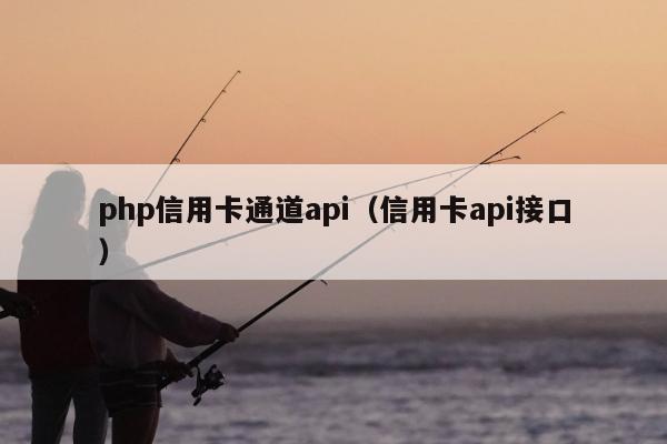 php信用卡通道api（信用卡api接口）