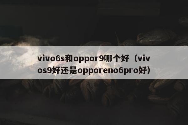 vivo6s和oppor9哪个好（vivos9好还是opporeno6pro好）