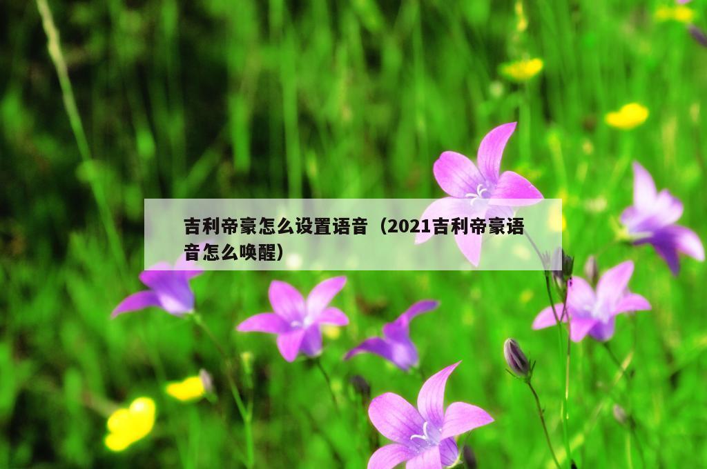 吉利帝豪怎么设置语音（2021吉利帝豪语音怎么唤醒）