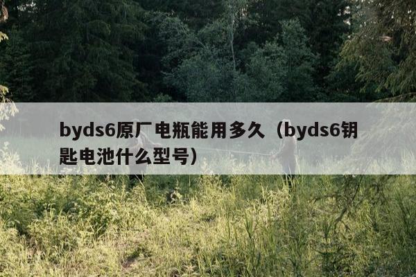 byds6原厂电瓶能用多久（byds6钥匙电池什么型号）