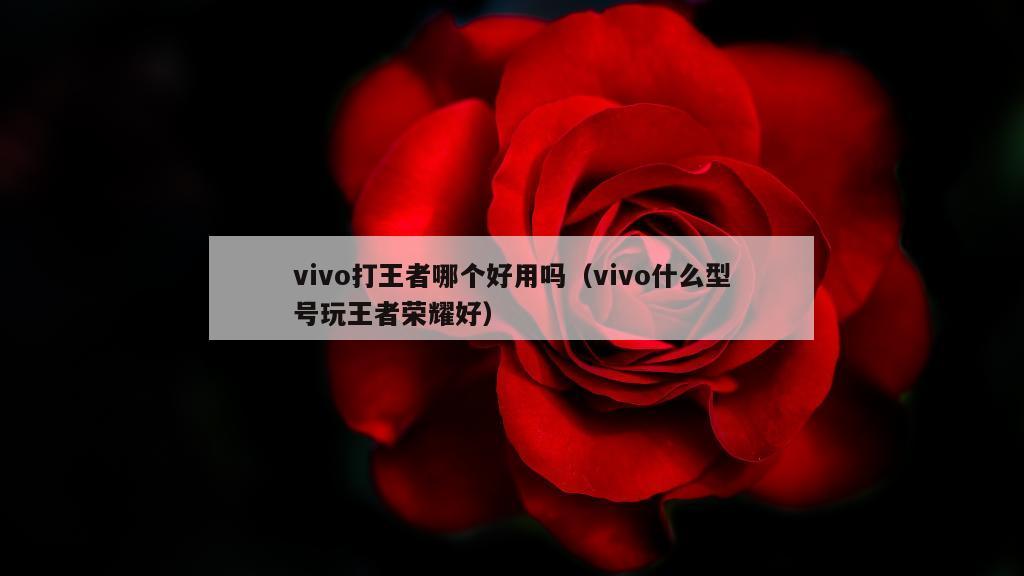 vivo打王者哪个好用吗（vivo什么型号玩王者荣耀好）