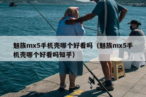 魅族mx5手机壳哪个好看吗（魅族mx5手机壳哪个好看吗知乎）