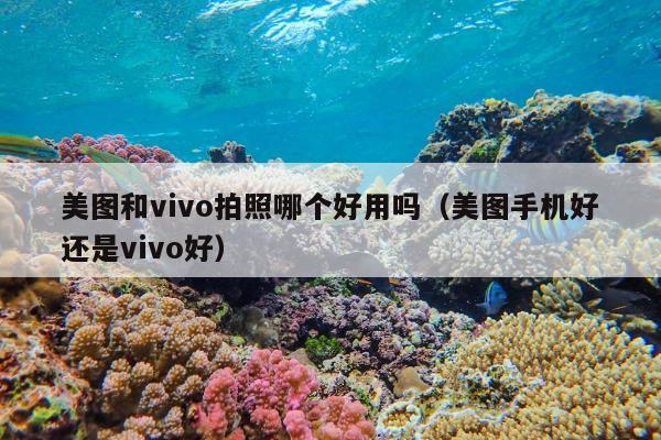 美图和vivo拍照哪个好用吗（美图手机好还是vivo好）