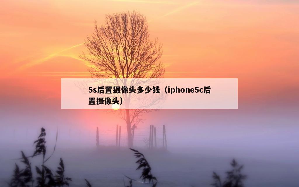 5s后置摄像头多少钱（iphone5c后置摄像头）