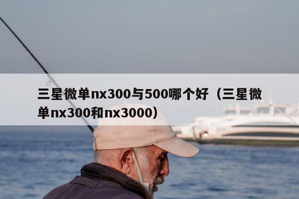 三星微单nx300与500哪个好（三星微单nx300和nx3000）