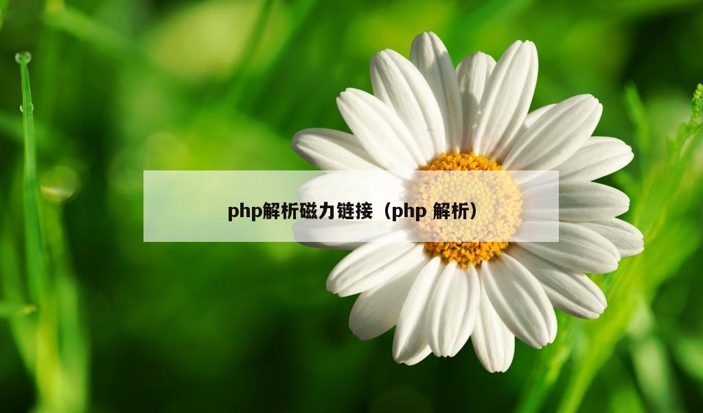 php解析磁力链接（php 解析）