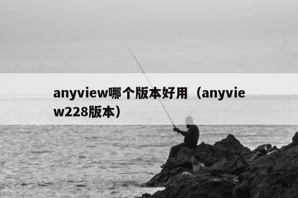 anyview哪个版本好用（anyview228版本）