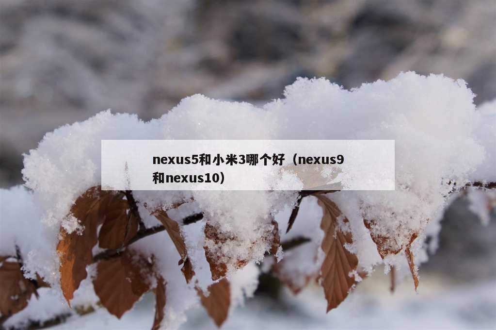 nexus5和小米3哪个好（nexus9和nexus10）