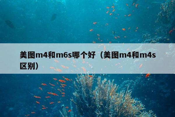 美图m4和m6s哪个好（美图m4和m4s区别）