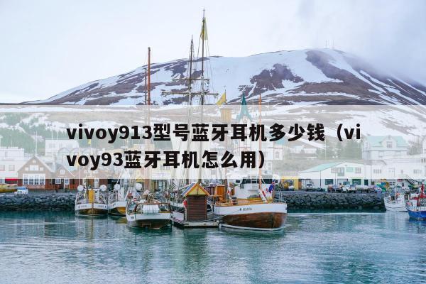 vivoy913型号蓝牙耳机多少钱（vivoy93蓝牙耳机怎么用）