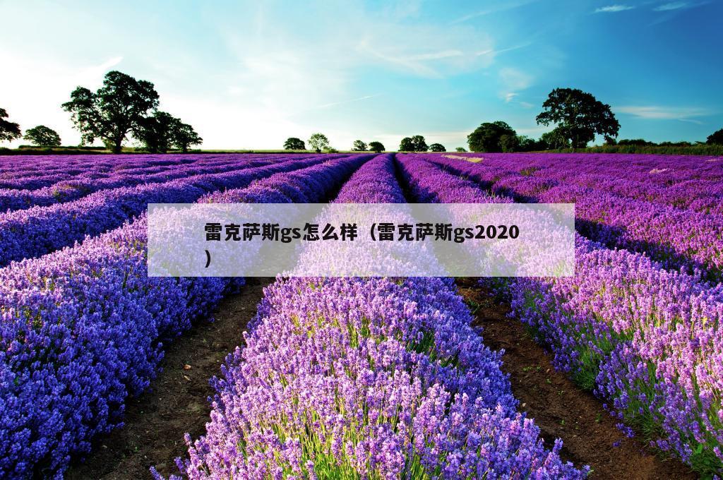 雷克萨斯gs怎么样（雷克萨斯gs2020）