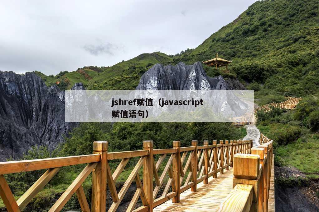 jshref赋值（javascript 赋值语句）