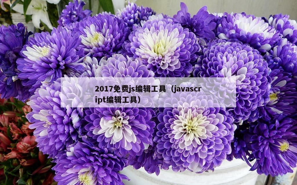 2017免费js编辑工具（javascript编辑工具）