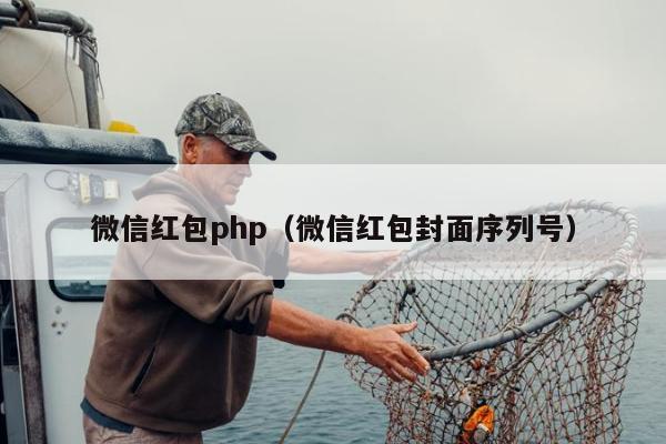 微信红包php（微信红包封面序列号）