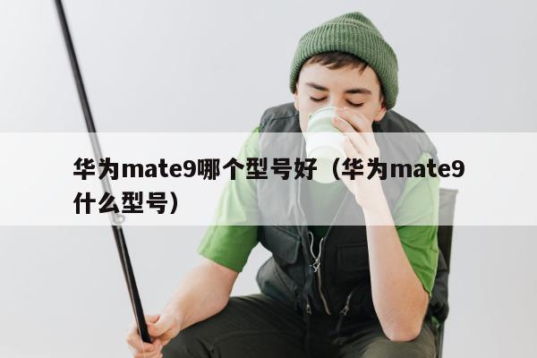 华为mate9哪个型号好（华为mate9什么型号）