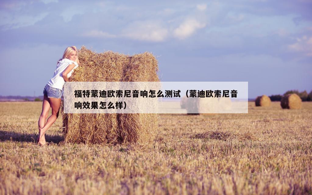 福特蒙迪欧索尼音响怎么测试（蒙迪欧索尼音响效果怎么样）