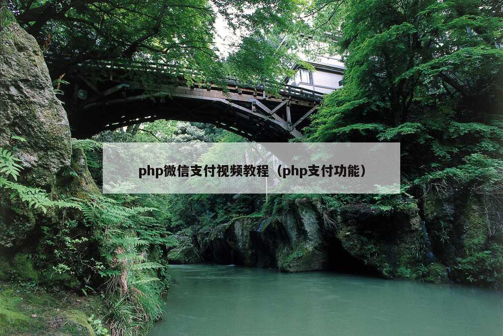 php微信支付视频教程（php支付功能）