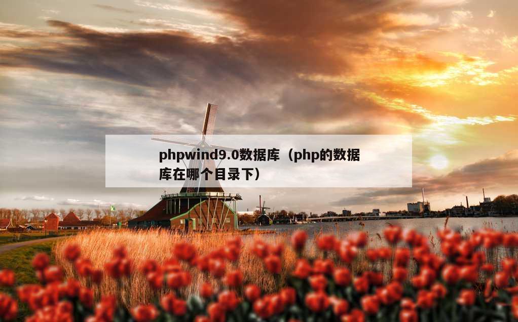 phpwind9.0数据库（php的数据库在哪个目录下）