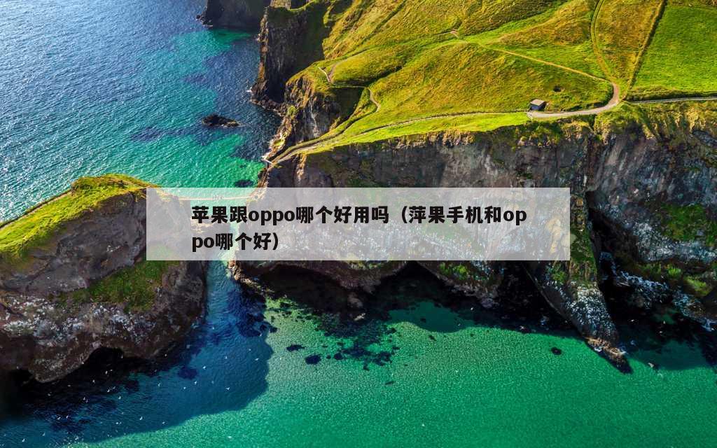 苹果跟oppo哪个好用吗（萍果手机和oppo哪个好）