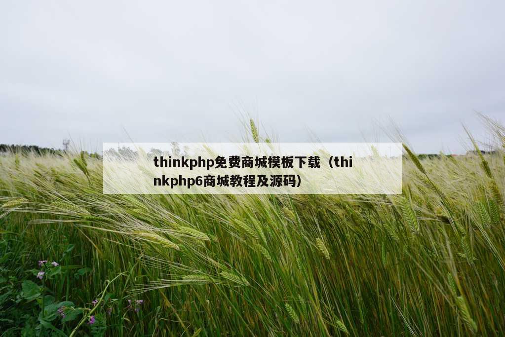 thinkphp免费商城模板下载（thinkphp6商城教程及源码）