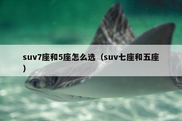 suv7座和5座怎么选（suv七座和五座）