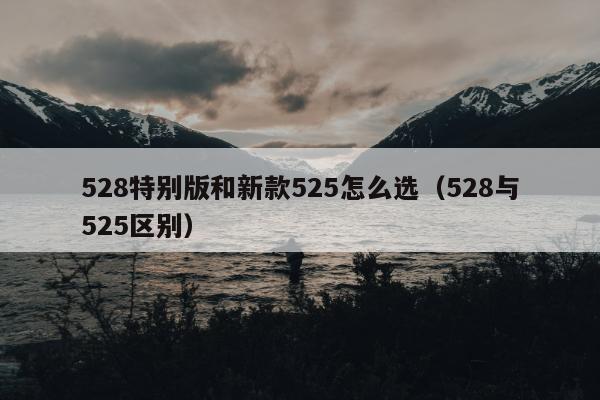 528特别版和新款525怎么选（528与525区别）