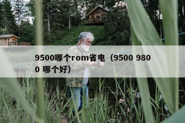 9500哪个rom省电（9500 9800 哪个好）