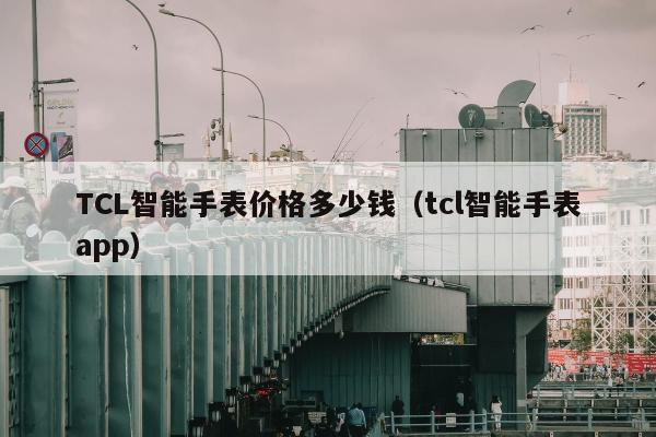 TCL智能手表价格多少钱（tcl智能手表app）