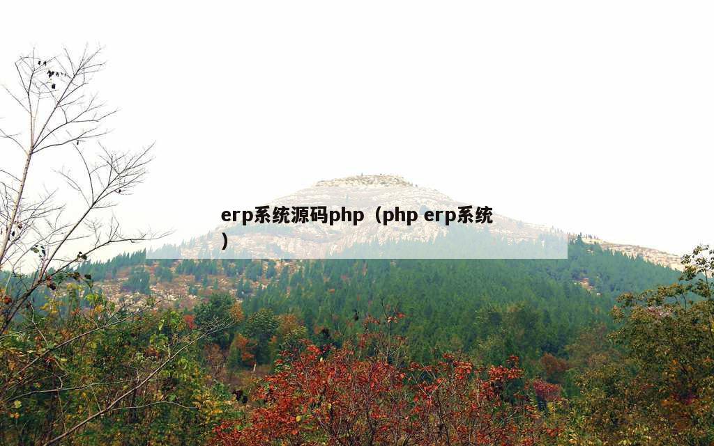 erp系统源码php（php erp系统）