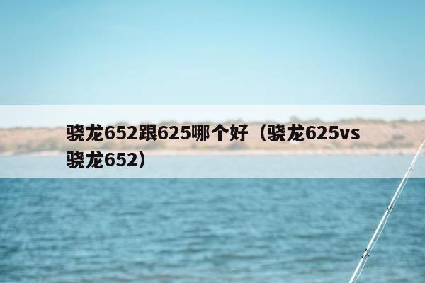 骁龙652跟625哪个好（骁龙625vs骁龙652）