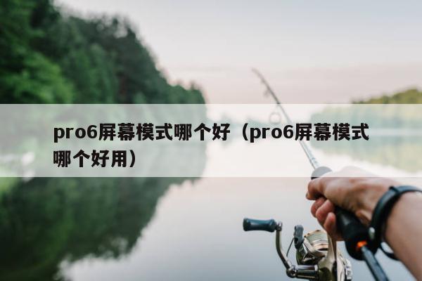 pro6屏幕模式哪个好（pro6屏幕模式哪个好用）