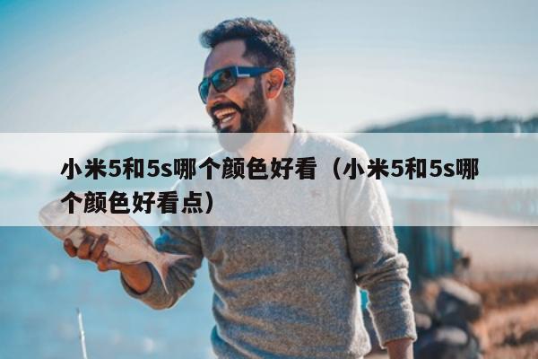 小米5和5s哪个颜色好看（小米5和5s哪个颜色好看点）