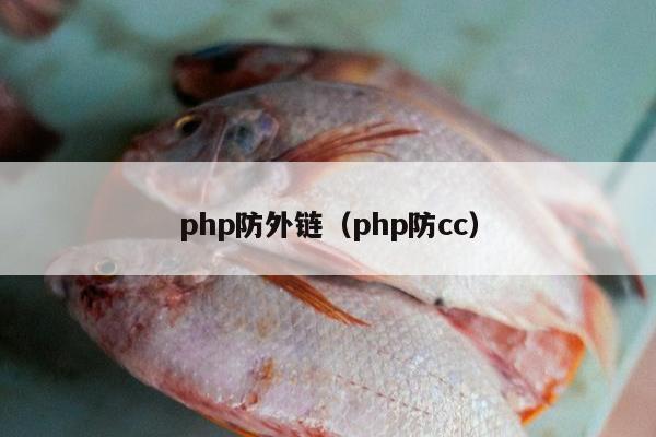 php防外链（php防cc）