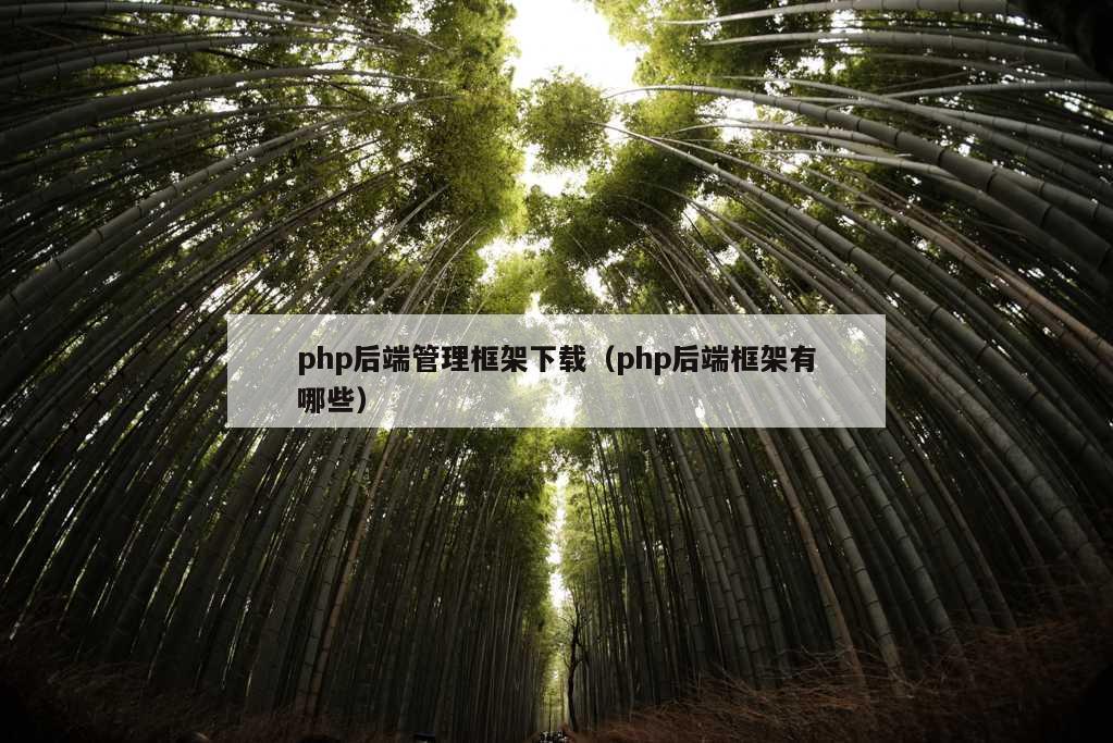 php后端管理框架下载（php后端框架有哪些）