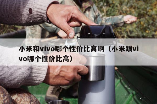 小米和vivo哪个性价比高啊（小米跟vivo哪个性价比高）