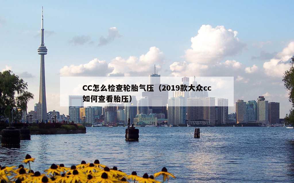 CC怎么检查轮胎气压（2019款大众cc如何查看胎压）