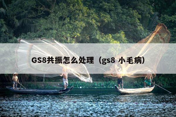 GS8共振怎么处理（gs8 小毛病）