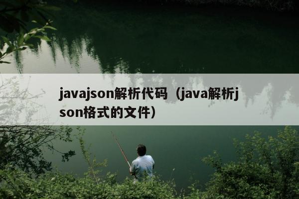 javajson解析代码（java解析json格式的文件）