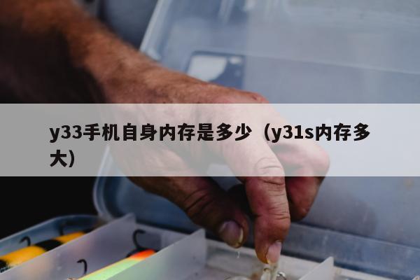 y33手机自身内存是多少（y31s内存多大）