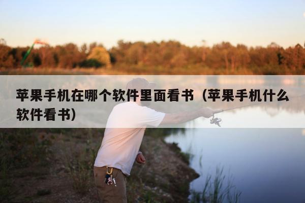 苹果手机在哪个软件里面看书（苹果手机什么软件看书）