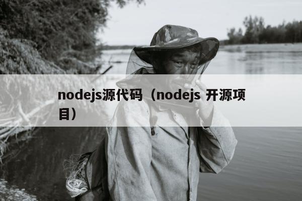 nodejs源代码（nodejs 开源项目）