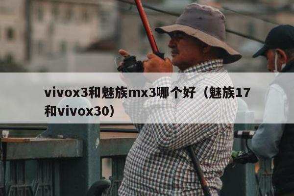 vivox3和魅族mx3哪个好（魅族17和vivox30）