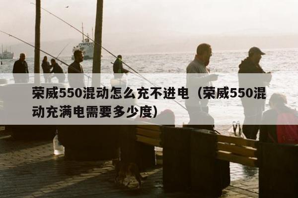 荣威550混动怎么充不进电（荣威550混动充满电需要多少度）